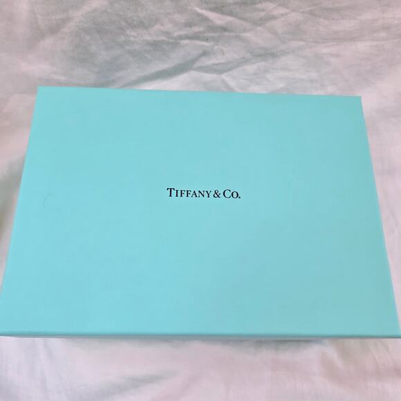 Tiffany & Co. Stationary Envelopes ONLY Ivory Embossed w/Watermark Approx 130